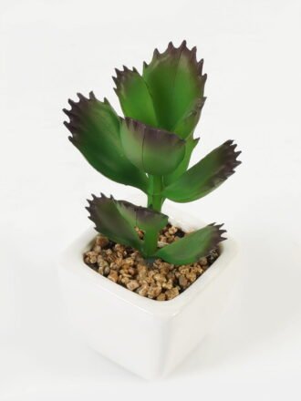 Artificial succulent 7*7*9cm Succulent plants in PP pot GS-70423006CONTI Succulent 3,000+ sqm showroom with thousands of artificial flowers, plants & trees ready for global sourcing.