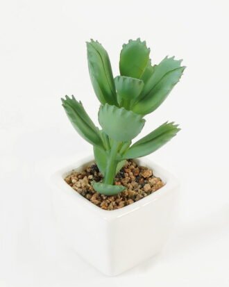 Artificial succulent 7*7*9cm Succulent plants in PP pot GS-70423006CONTI-G4 Succulent YeahFlower is one of Chinese leading OEM manufacturers and exporters , supplying the silk flowers, wholesale artificial trees Artificial succulent 7*7*9cm Succulent plants in PP pot GS-70423006CONTI-G4 Succulent YeahFlower is one of Chinese leading OEM manufacturers and exporters , supplying the silk flowers, wholesale artificial trees