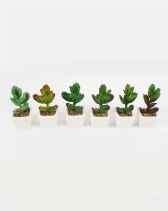 Artificial succulent 7*7*9cm Succulent plants in PP pot GS-70423006CONTI Succulent YeahFlower is one of Chinese leading OEM manufacturers and exporters , supplying the silk flowers, wholesale artificial trees Artificial succulent 7*7*9cm Succulent plants in PP pot GS-70423006CONTI Succulent YeahFlower is one of Chinese leading OEM manufacturers and exporters , supplying the silk flowers, wholesale artificial trees