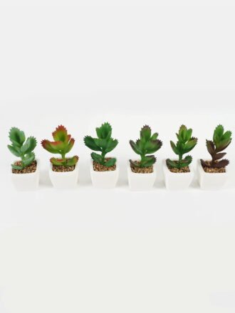 Artificial succulent 8*8*9cm Succulent plants in PP pot GS-70423005CONTI-G4 Succulent 3,000+ sqm showroom with thousands of artificial flowers, plants & trees ready for global sourcing.
