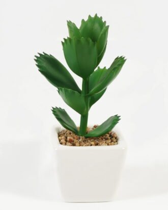 Artificial succulent 7*7*9cm Succulent plants in PP pot GS-70423006CONTI Succulent YeahFlower is one of Chinese leading OEM manufacturers and exporters , supplying the silk flowers, wholesale artificial trees Artificial succulent 7*7*9cm Succulent plants in PP pot GS-70423006CONTI Succulent YeahFlower is one of Chinese leading OEM manufacturers and exporters , supplying the silk flowers, wholesale artificial trees