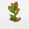 Artificial Succulent plants in PP pot GS-70423006CONTI_5 Artificial succulent 7*7*9cm Succulent plants in PP pot GS-70423006CONTI Succulent YeahFlower is one of Chinese leading OEM manufacturers and exporters , supplying the silk flowers, wholesale artificial trees