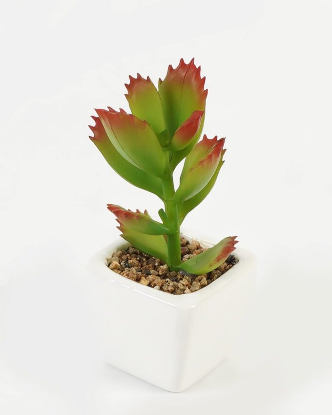 Artificial Succulent plants in PP pot GS-70423006CONTI_5 Artificial succulent 7*7*9cm Succulent plants in PP pot GS-70423006CONTI Succulent YeahFlower is one of Chinese leading OEM manufacturers and exporters , supplying the silk flowers, wholesale artificial trees