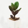 Artificial Succulent plants in PP pot GS-70423006CONTI_6 Artificial succulent 7*7*9cm Succulent plants in PP pot GS-70423006CONTI Succulent YeahFlower is one of Chinese leading OEM manufacturers and exporters , supplying the silk flowers, wholesale artificial trees