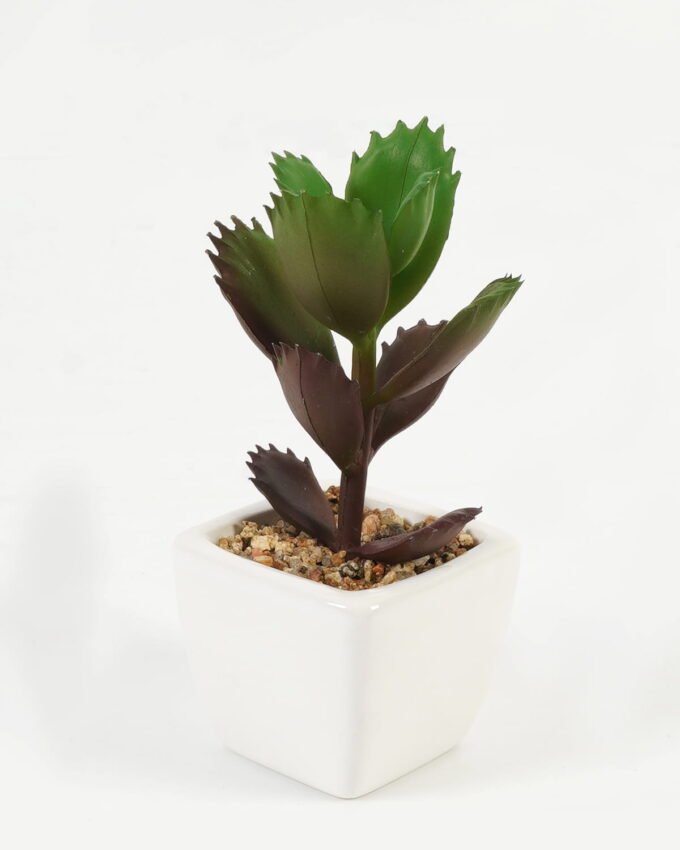 Artificial Succulent plants in PP pot GS-70423006CONTI_6 Artificial succulent 7*7*9cm Succulent plants in PP pot GS-70423006CONTI Succulent YeahFlower is one of Chinese leading OEM manufacturers and exporters , supplying the silk flowers, wholesale artificial trees