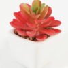Artificial Succulent plants in PP pot GS-70423007CONTI-G4_7 Artificial succulent 7*7*9cm Succulent plants in PP pot GS-70423007CONTI-G4 Succulent YeahFlower is one of Chinese leading OEM manufacturers and exporters , supplying the silk flowers, wholesale artificial trees