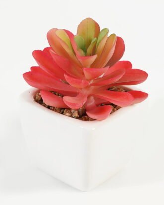 Artificial succulent 7*7*9cm Succulent plants in PP pot GS-70423007CONTI-G4 Succulent YeahFlower is one of Chinese leading OEM manufacturers and exporters , supplying the silk flowers, wholesale artificial trees Artificial succulent 7*7*9cm Succulent plants in PP pot GS-70423007CONTI-G4 Succulent YeahFlower is one of Chinese leading OEM manufacturers and exporters , supplying the silk flowers, wholesale artificial trees
