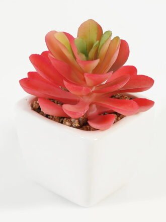 Artificial succulent 7*7*9cm Succulent plants in PP pot GS-70423007CONTI Succulent 3,000+ sqm showroom with thousands of artificial flowers, plants & trees ready for global sourcing.