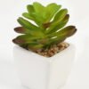 Artificial Succulent plants in PP pot GS-70423007CONTI-G4_8 Artificial succulent 7*7*9cm Succulent plants in PP pot GS-70423007CONTI-G4 Succulent YeahFlower is one of Chinese leading OEM manufacturers and exporters , supplying the silk flowers, wholesale artificial trees