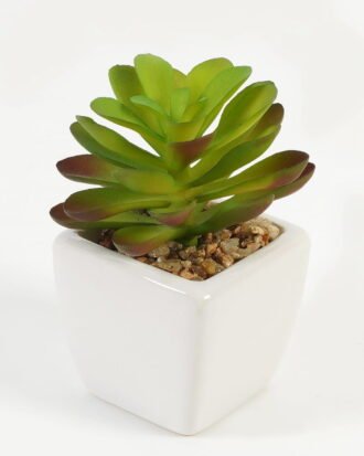 Artificial succulent 7*7*9cm Succulent plants in PP pot GS-70423007CONTI-G4 Succulent YeahFlower is one of Chinese leading OEM manufacturers and exporters , supplying the silk flowers, wholesale artificial trees Artificial succulent 7*7*9cm Succulent plants in PP pot GS-70423007CONTI-G4 Succulent YeahFlower is one of Chinese leading OEM manufacturers and exporters , supplying the silk flowers, wholesale artificial trees