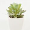 Artificial Succulent plants in PP pot GS-70423007CONTI-G4_9 Artificial succulent 7*7*9cm Succulent plants in PP pot GS-70423007CONTI-G4 Succulent YeahFlower is one of Chinese leading OEM manufacturers and exporters , supplying the silk flowers, wholesale artificial trees