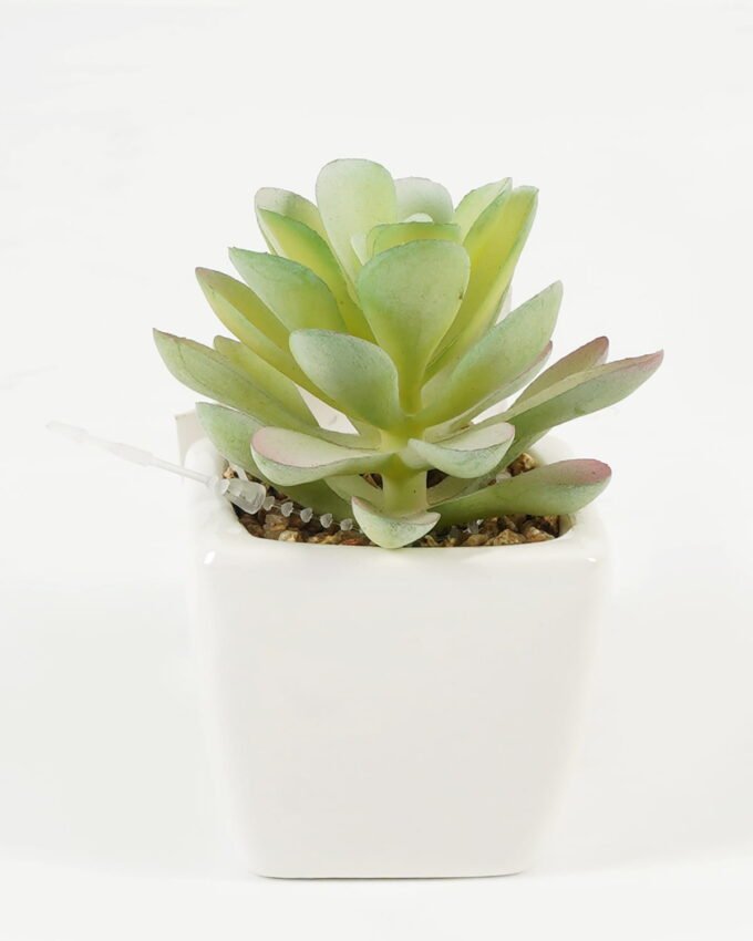 Artificial Succulent plants in PP pot GS-70423007CONTI-G4_9 Artificial succulent 7*7*9cm Succulent plants in PP pot GS-70423007CONTI-G4 Succulent YeahFlower is one of Chinese leading OEM manufacturers and exporters , supplying the silk flowers, wholesale artificial trees