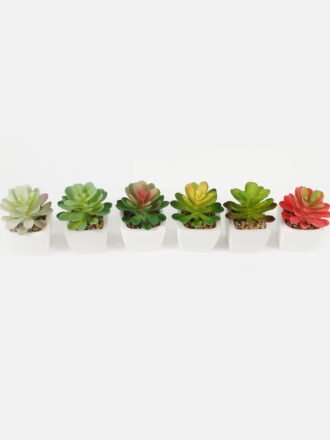 Artificial succulent 7*7*9cm Succulent plants in PP pot GS-70423006CONTI-G4 Succulent 3,000+ sqm showroom with thousands of artificial flowers, plants & trees ready for global sourcing.