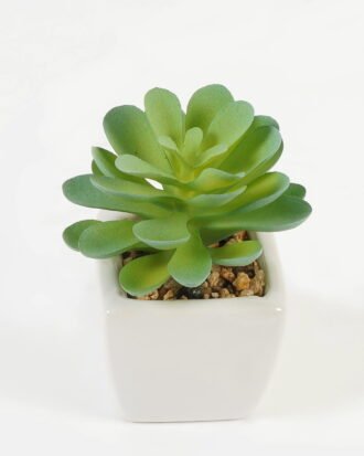 Artificial succulent 7*7*9cm Succulent plants in PP pot GS-70423007CONTI Succulent YeahFlower is one of Chinese leading OEM manufacturers and exporters , supplying the silk flowers, wholesale artificial trees Artificial succulent 7*7*9cm Succulent plants in PP pot GS-70423007CONTI Succulent YeahFlower is one of Chinese leading OEM manufacturers and exporters , supplying the silk flowers, wholesale artificial trees