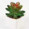 Artificial Succulent plants in PP pot GS-70423007CONTI_5 Artificial succulent 7*7*9cm Succulent plants in PP pot GS-70423007CONTI Succulent YeahFlower is one of Chinese leading OEM manufacturers and exporters , supplying the silk flowers, wholesale artificial trees