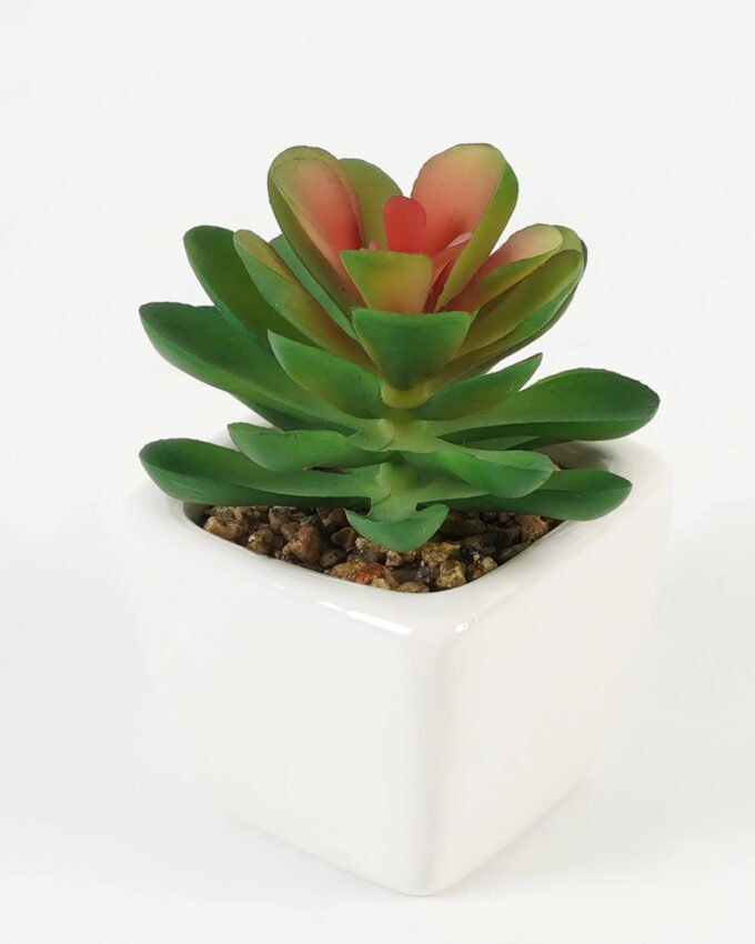 Artificial Succulent plants in PP pot GS-70423007CONTI_5 Artificial succulent 7*7*9cm Succulent plants in PP pot GS-70423007CONTI Succulent YeahFlower is one of Chinese leading OEM manufacturers and exporters , supplying the silk flowers, wholesale artificial trees