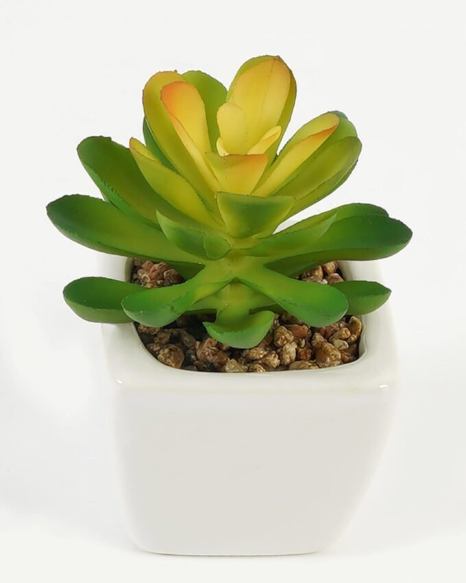 Artificial Succulent plants in PP pot GS-70423007CONTI_6 Artificial succulent 7*7*9cm Succulent plants in PP pot GS-70423007CONTI Succulent YeahFlower is one of Chinese leading OEM manufacturers and exporters , supplying the silk flowers, wholesale artificial trees