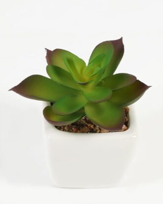 Artificial succulent 7*7*9cm Succulent plants in PP pot GS-70423008CONTI-G3 Succulent YeahFlower is one of Chinese leading OEM manufacturers and exporters , supplying the silk flowers, wholesale artificial trees