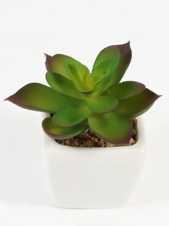Artificial succulent 7*7*13cm Succulent plants in PP pot GS-70423009CONTI Succulent 3,000+ sqm showroom with thousands of artificial flowers, plants & trees ready for global sourcing.
