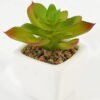 Artificial Succulent plants in PP pot GS-70423008CONTI-G3_6 Artificial succulent 7*7*9cm Succulent plants in PP pot GS-70423008CONTI-G3 Succulent YeahFlower is one of Chinese leading OEM manufacturers and exporters , supplying the silk flowers, wholesale artificial trees