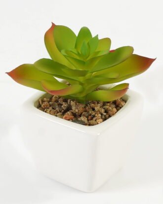 Artificial succulent 7*7*9cm Succulent plants in PP pot GS-70423008CONTI-G3 Succulent YeahFlower is one of Chinese leading OEM manufacturers and exporters , supplying the silk flowers, wholesale artificial trees