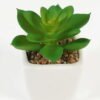 Artificial Succulent plants in PP pot GS-70423008CONTI-G3_7 Artificial succulent 7*7*9cm Succulent plants in PP pot GS-70423008CONTI-G3 Succulent YeahFlower is one of Chinese leading OEM manufacturers and exporters , supplying the silk flowers, wholesale artificial trees