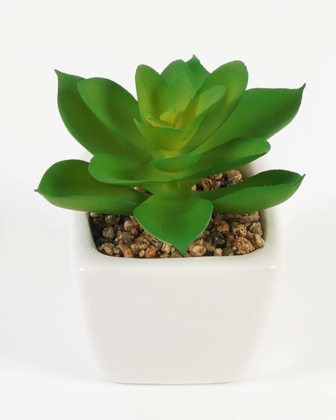 Artificial Succulent plants in PP pot GS-70423008CONTI-G3_7 Artificial succulent 7*7*9cm Succulent plants in PP pot GS-70423008CONTI-G3 Succulent YeahFlower is one of Chinese leading OEM manufacturers and exporters , supplying the silk flowers, wholesale artificial trees