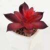 Artificial Succulent plants in PP pot GS-70423008CONTI-G3_8 Artificial succulent 7*7*9cm Succulent plants in PP pot GS-70423008CONTI-G3 Succulent YeahFlower is one of Chinese leading OEM manufacturers and exporters , supplying the silk flowers, wholesale artificial trees