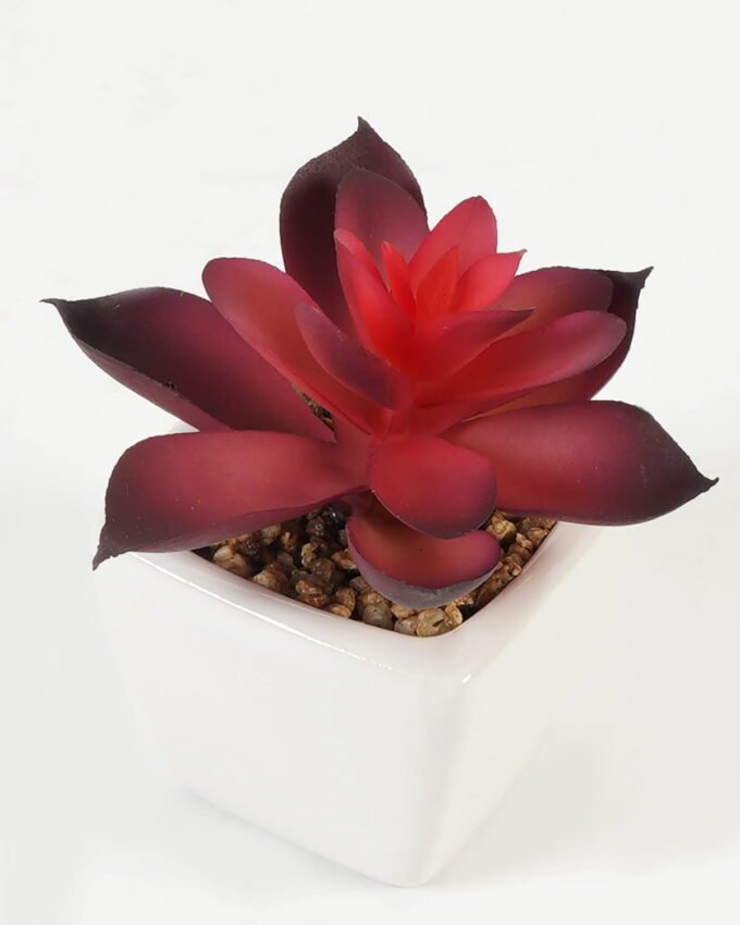 Artificial Succulent plants in PP pot GS-70423008CONTI-G3_8 Artificial succulent 7*7*9cm Succulent plants in PP pot GS-70423008CONTI-G3 Succulent YeahFlower is one of Chinese leading OEM manufacturers and exporters , supplying the silk flowers, wholesale artificial trees