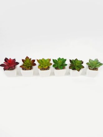 Artificial succulent 7*7*9cm Succulent plants in PP pot GS-70423008CONTI-G3 Succulent 3,000+ sqm showroom with thousands of artificial flowers, plants & trees ready for global sourcing.