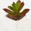 Artificial succulent 7*7*9cm Succulent plants in PP pot GS-70423008CONTI Succulent YeahFlower is one of Chinese leading OEM manufacturers and exporters , supplying the silk flowers, wholesale artificial trees