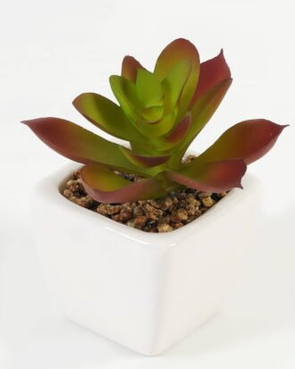 Artificial succulent 7*7*9cm Succulent plants in PP pot GS-70423008CONTI Succulent YeahFlower is one of Chinese leading OEM manufacturers and exporters , supplying the silk flowers, wholesale artificial trees