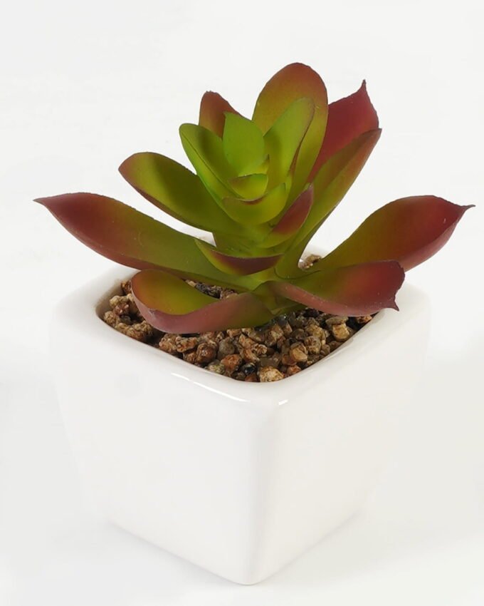 Artificial succulent 7*7*9cm Succulent plants in PP pot GS-70423008CONTI Succulent YeahFlower is one of Chinese leading OEM manufacturers and exporters , supplying the silk flowers, wholesale artificial trees
