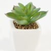 Artificial succulent 7*7*9cm Succulent plants in PP pot GS-70423008CONTI Succulent YeahFlower is one of Chinese leading OEM manufacturers and exporters , supplying the silk flowers, wholesale artificial trees