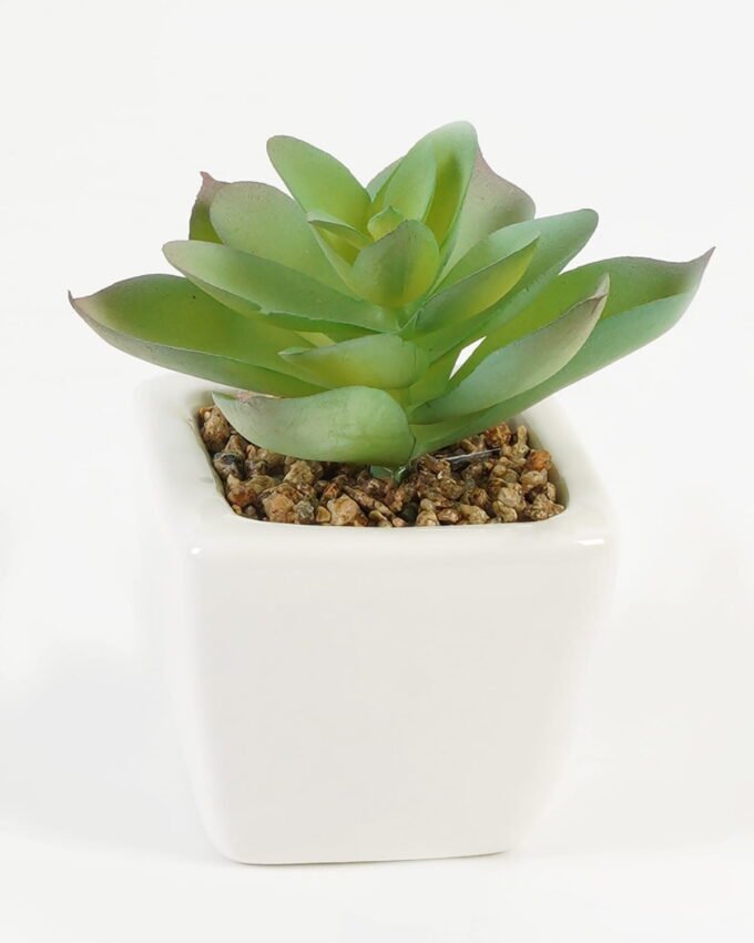 Artificial succulent 7*7*9cm Succulent plants in PP pot GS-70423008CONTI Succulent YeahFlower is one of Chinese leading OEM manufacturers and exporters , supplying the silk flowers, wholesale artificial trees