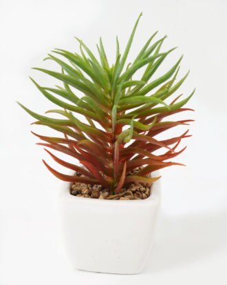 Artificial succulent 7*7*13cm Succulent plants in PP pot GS-70423009CONTI-G3 Succulent YeahFlower is one of Chinese leading OEM manufacturers and exporters , supplying the silk flowers, wholesale artificial trees