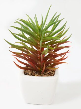 Artificial succulent 6*6*13cm Succulent plants in PP pot GS-70423010CONTI Succulent 3,000+ sqm showroom with thousands of artificial flowers, plants & trees ready for global sourcing.