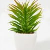 Artificial Succulent plants in PP pot GS-70423009CONTI-G3_2 Artificial succulent 7*7*13cm Succulent plants in PP pot GS-70423009CONTI-G3 Succulent YeahFlower is one of Chinese leading OEM manufacturers and exporters , supplying the silk flowers, wholesale artificial trees