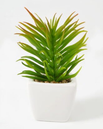 Artificial succulent 7*7*13cm Succulent plants in PP pot GS-70423009CONTI-G3 Succulent YeahFlower is one of Chinese leading OEM manufacturers and exporters , supplying the silk flowers, wholesale artificial trees