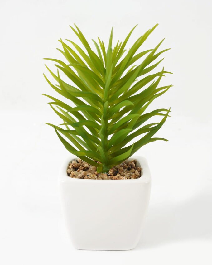 Artificial Succulent plants in PP pot GS-70423009CONTI-G3_3 Artificial succulent 7*7*13cm Succulent plants in PP pot GS-70423009CONTI-G3 Succulent YeahFlower is one of Chinese leading OEM manufacturers and exporters , supplying the silk flowers, wholesale artificial trees