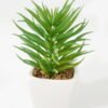 Artificial Succulent plants in PP pot GS-70423009CONTI-G3_4 Artificial succulent 7*7*13cm Succulent plants in PP pot GS-70423009CONTI-G3 Succulent YeahFlower is one of Chinese leading OEM manufacturers and exporters , supplying the silk flowers, wholesale artificial trees