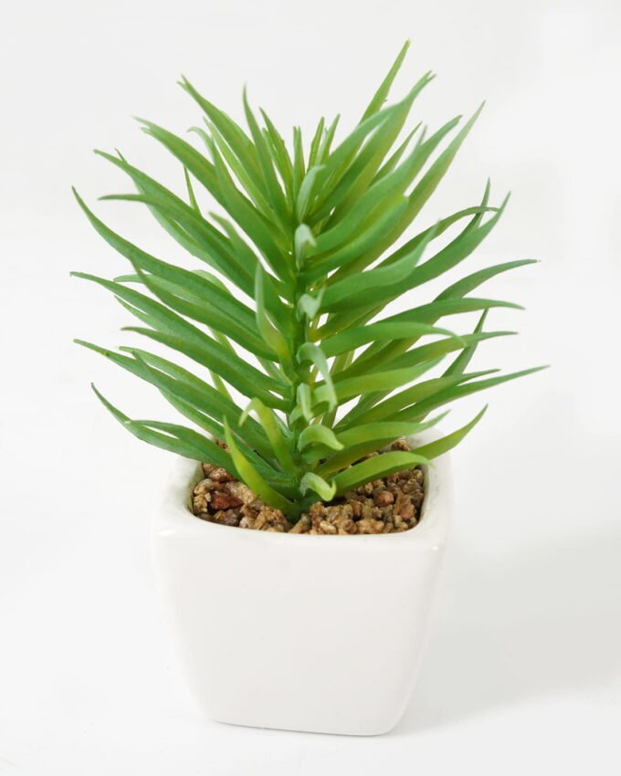 Artificial Succulent plants in PP pot GS-70423009CONTI-G3_4 Artificial succulent 7*7*13cm Succulent plants in PP pot GS-70423009CONTI-G3 Succulent YeahFlower is one of Chinese leading OEM manufacturers and exporters , supplying the silk flowers, wholesale artificial trees