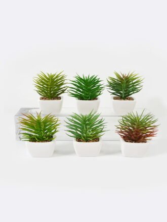 Artificial succulent 7*7*13cm Succulent plants in PP pot GS-70423009CONTI-G3 Succulent 3,000+ sqm showroom with thousands of artificial flowers, plants & trees ready for global sourcing.