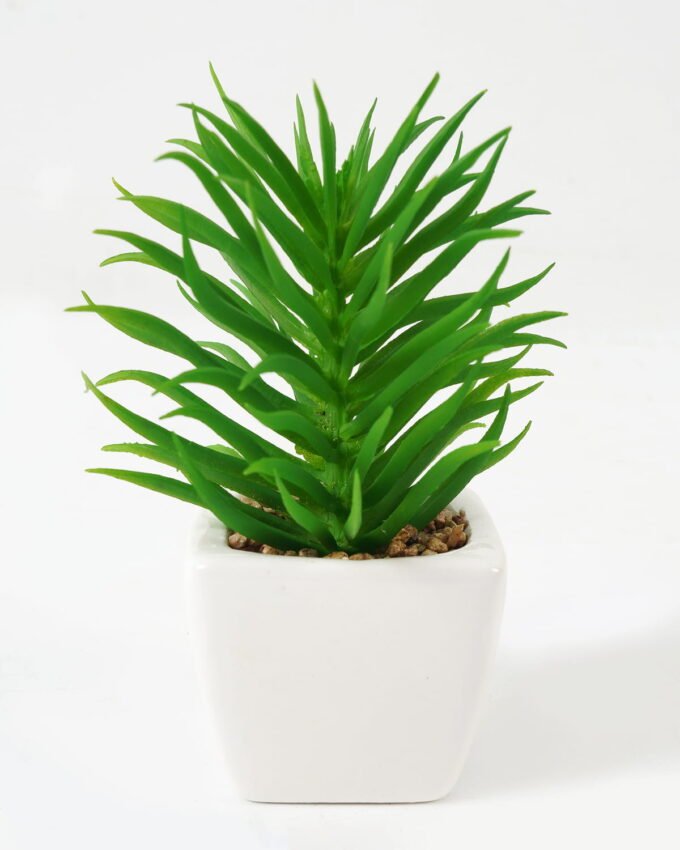 Artificial succulent 7*7*13cm Succulent plants in PP pot GS-70423009CONTI Succulent YeahFlower is one of Chinese leading OEM manufacturers and exporters , supplying the silk flowers, wholesale artificial trees