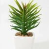 Artificial succulent 7*7*13cm Succulent plants in PP pot GS-70423009CONTI Succulent YeahFlower is one of Chinese leading OEM manufacturers and exporters , supplying the silk flowers, wholesale artificial trees