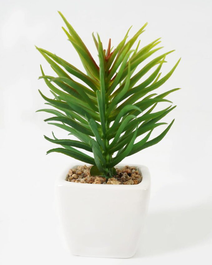 Artificial succulent 7*7*13cm Succulent plants in PP pot GS-70423009CONTI Succulent YeahFlower is one of Chinese leading OEM manufacturers and exporters , supplying the silk flowers, wholesale artificial trees