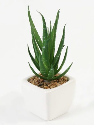 Artificial succulent 6*6*13cm Succulent plants in PP pot GS-70423010CONTI Succulent 3,000+ sqm showroom with thousands of artificial flowers, plants & trees ready for global sourcing.