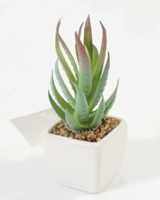 Artificial succulent 6*6*13cm Succulent plants in PP pot GS-70423010CONTI-G3 Succulent YeahFlower is one of Chinese leading OEM manufacturers and exporters , supplying the silk flowers, wholesale artificial trees