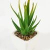 Artificial Succulent plants in PP pot GS-70423010CONTI-G3_8 Artificial succulent 6*6*13cm Succulent plants in PP pot GS-70423010CONTI-G3 Succulent YeahFlower is one of Chinese leading OEM manufacturers and exporters , supplying the silk flowers, wholesale artificial trees