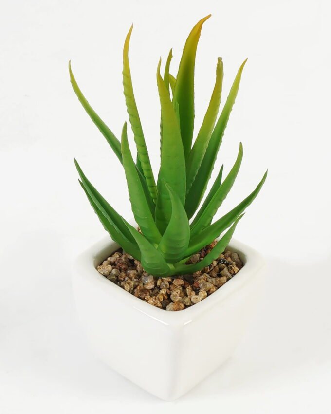 Artificial Succulent plants in PP pot GS-70423010CONTI-G3_8 Artificial succulent 6*6*13cm Succulent plants in PP pot GS-70423010CONTI-G3 Succulent YeahFlower is one of Chinese leading OEM manufacturers and exporters , supplying the silk flowers, wholesale artificial trees